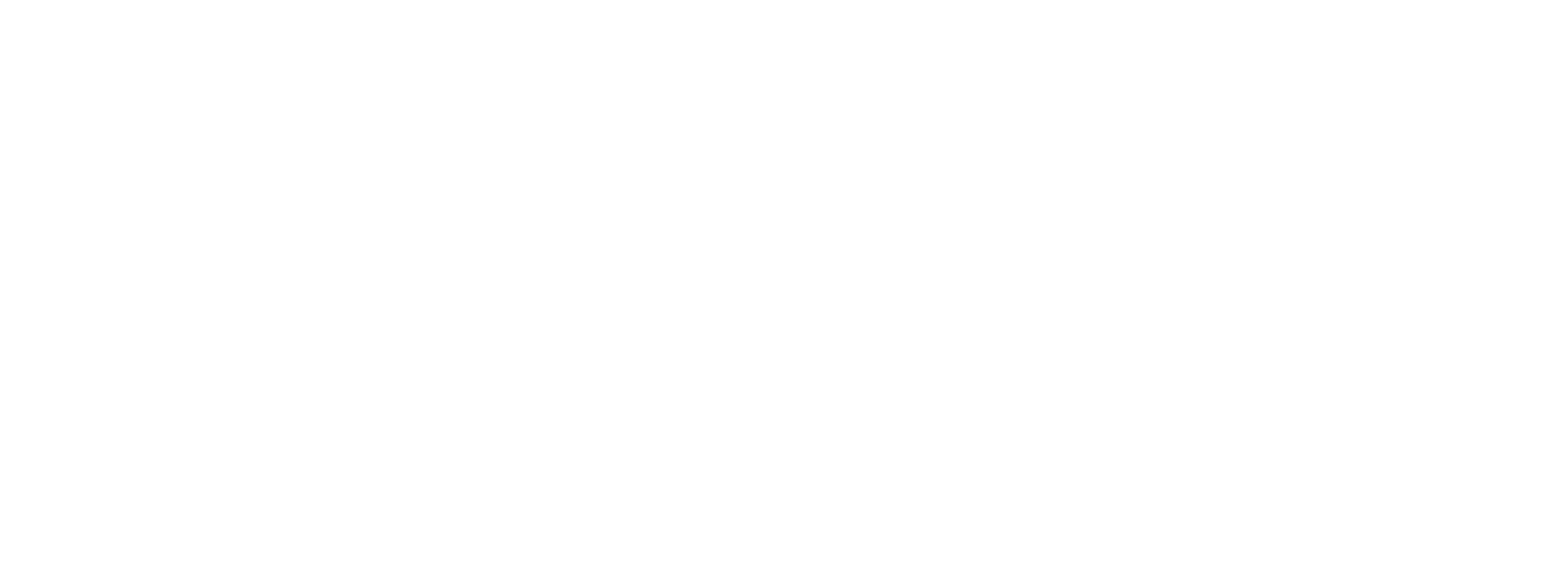 JSJ Internation logo wordmark